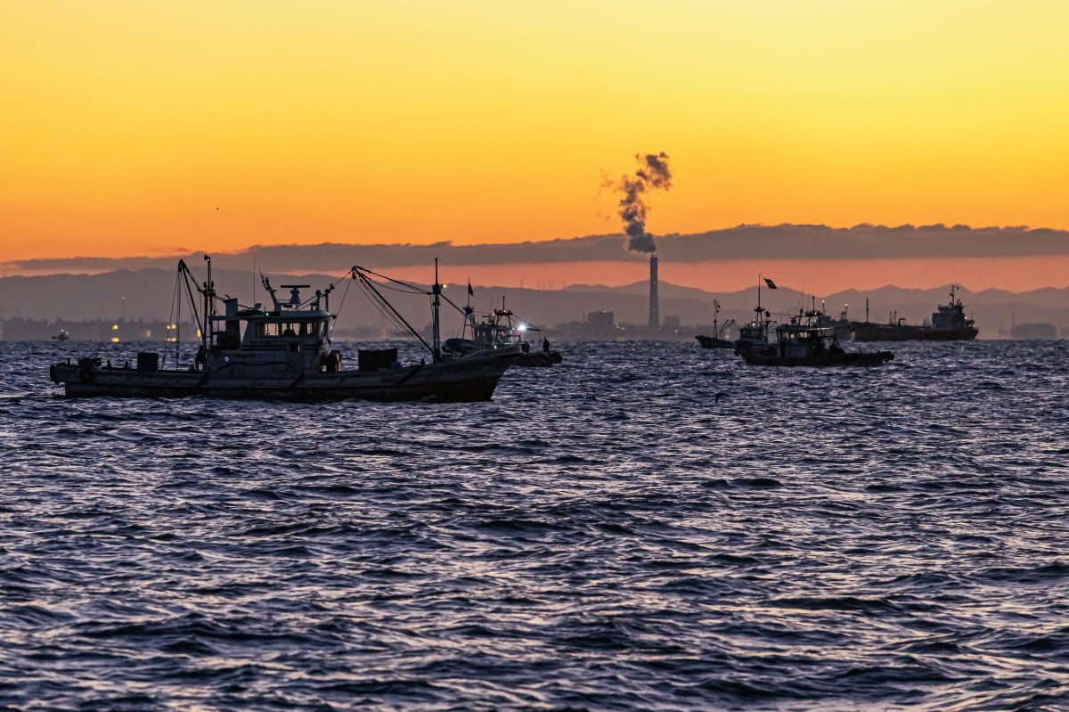 網の引き上げは体力勝負のしらす漁