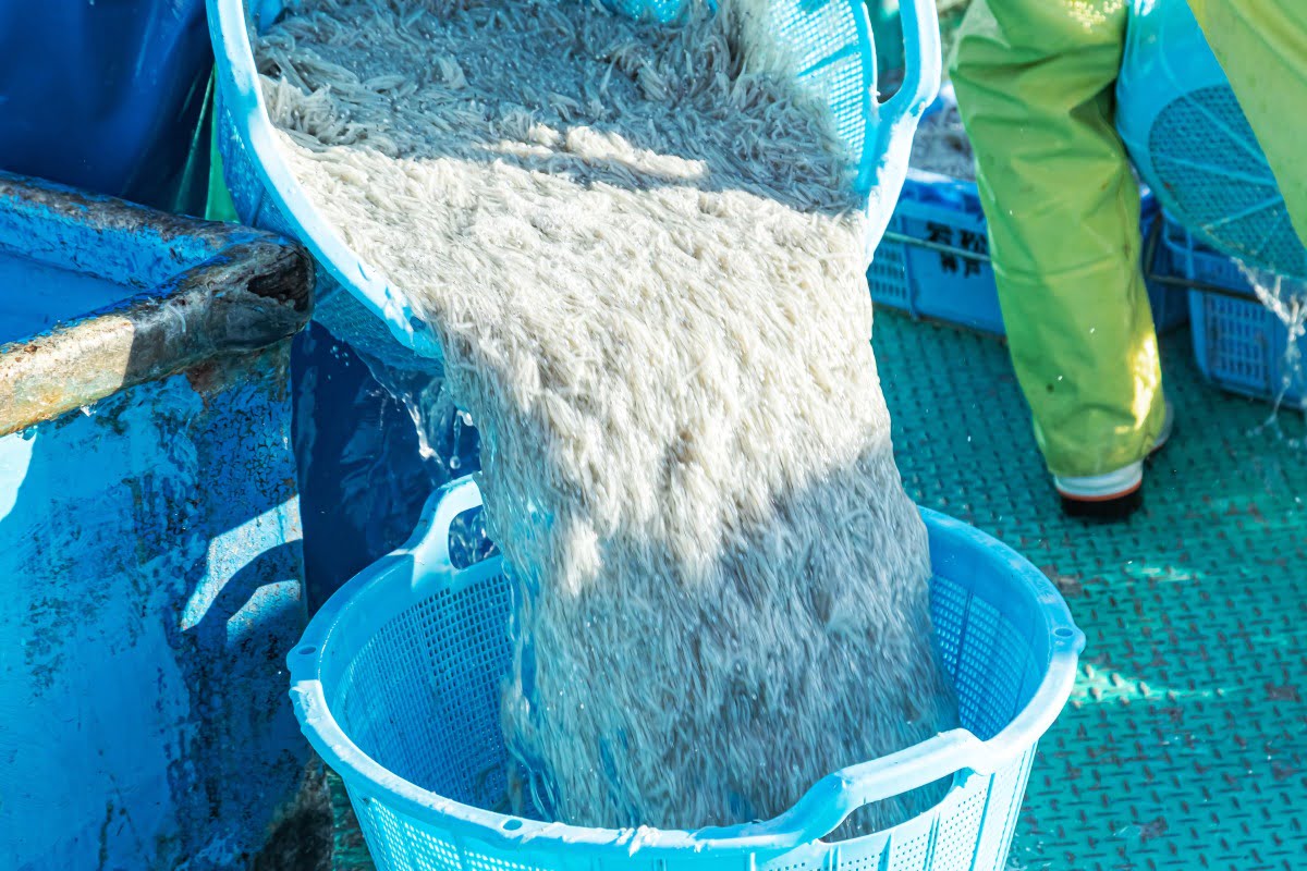 都市でありながら農漁業が盛ん