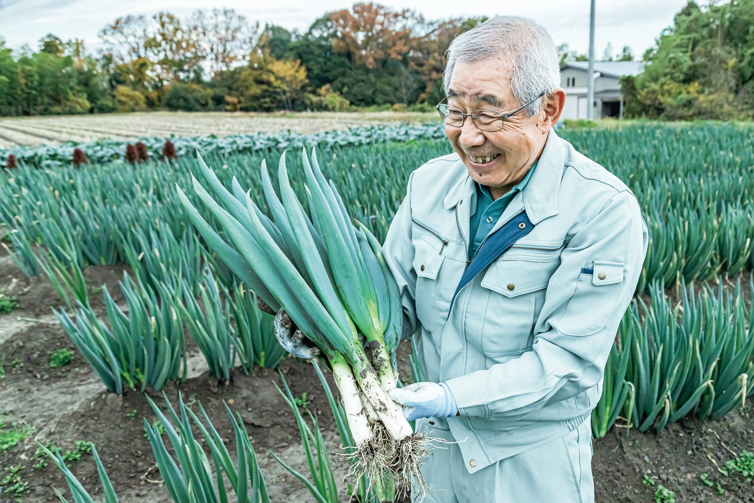畑は、手がかかる。