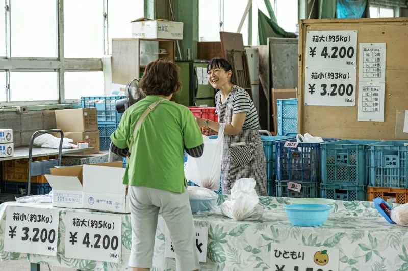 神戸の食材魅力発信梨×RE.colab KOBE | farms and sea 神戸の大地と海
